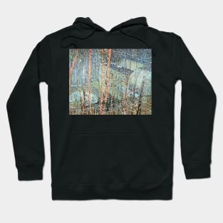 architect s home in the ravine Hoodie